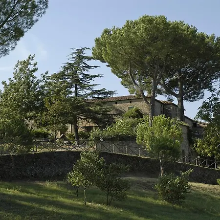 Poggio Oliveto *